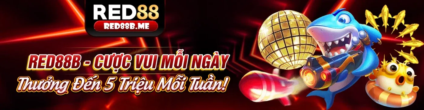 Các chương trình khuyến mãi khác của Kubet